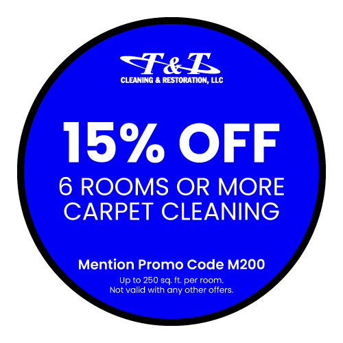 TT-Cleaning_Web_Promo_04_500x500