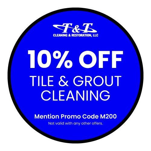 TT-Cleaning_Web_Promo_07_500x500