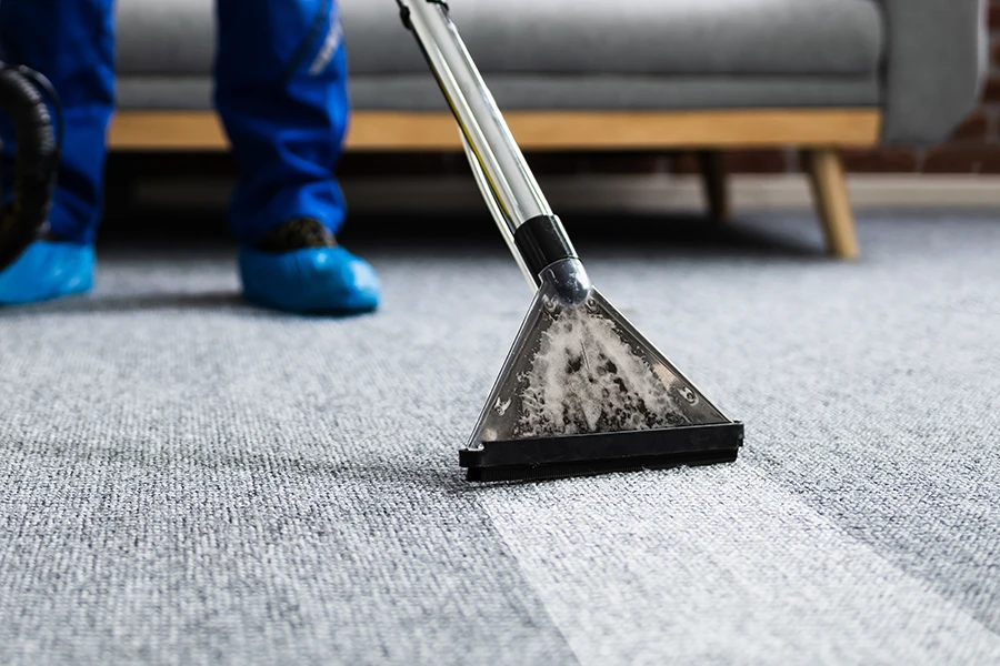 rug cleaning