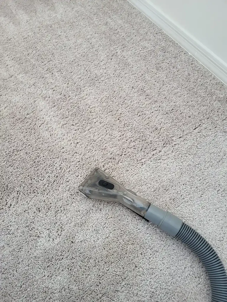 T&T Carpet Cleaning