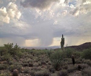 Monsoon Damage Prevention Part 1